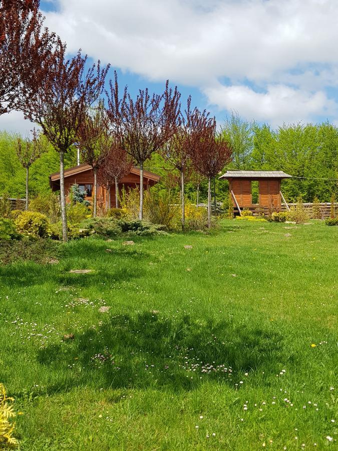 Sat De Vacanta Ciprian Porumbescu