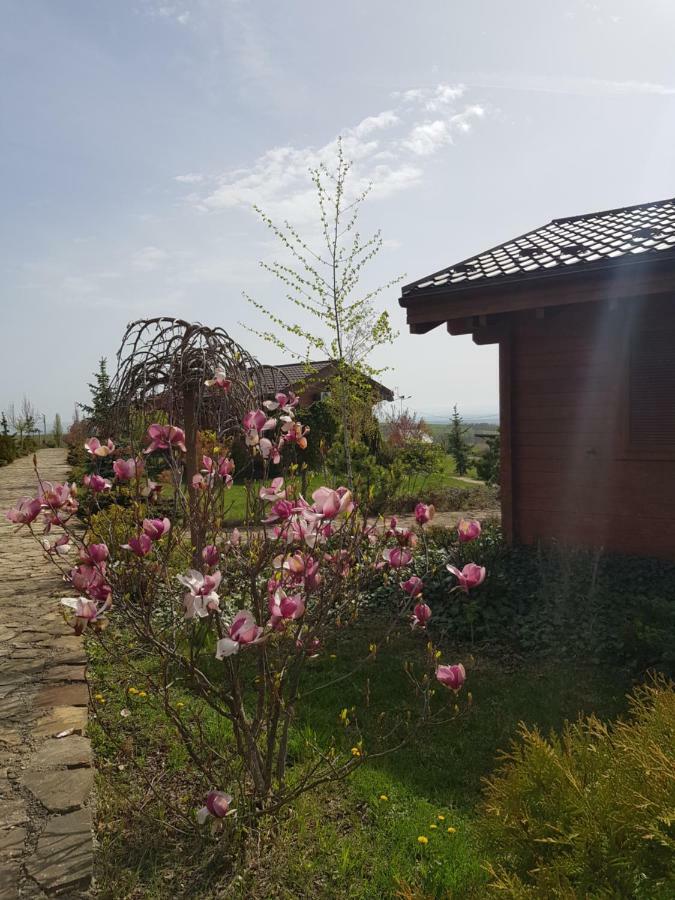 Campeggio Sat De Vacanta Ciprian Porumbescu *