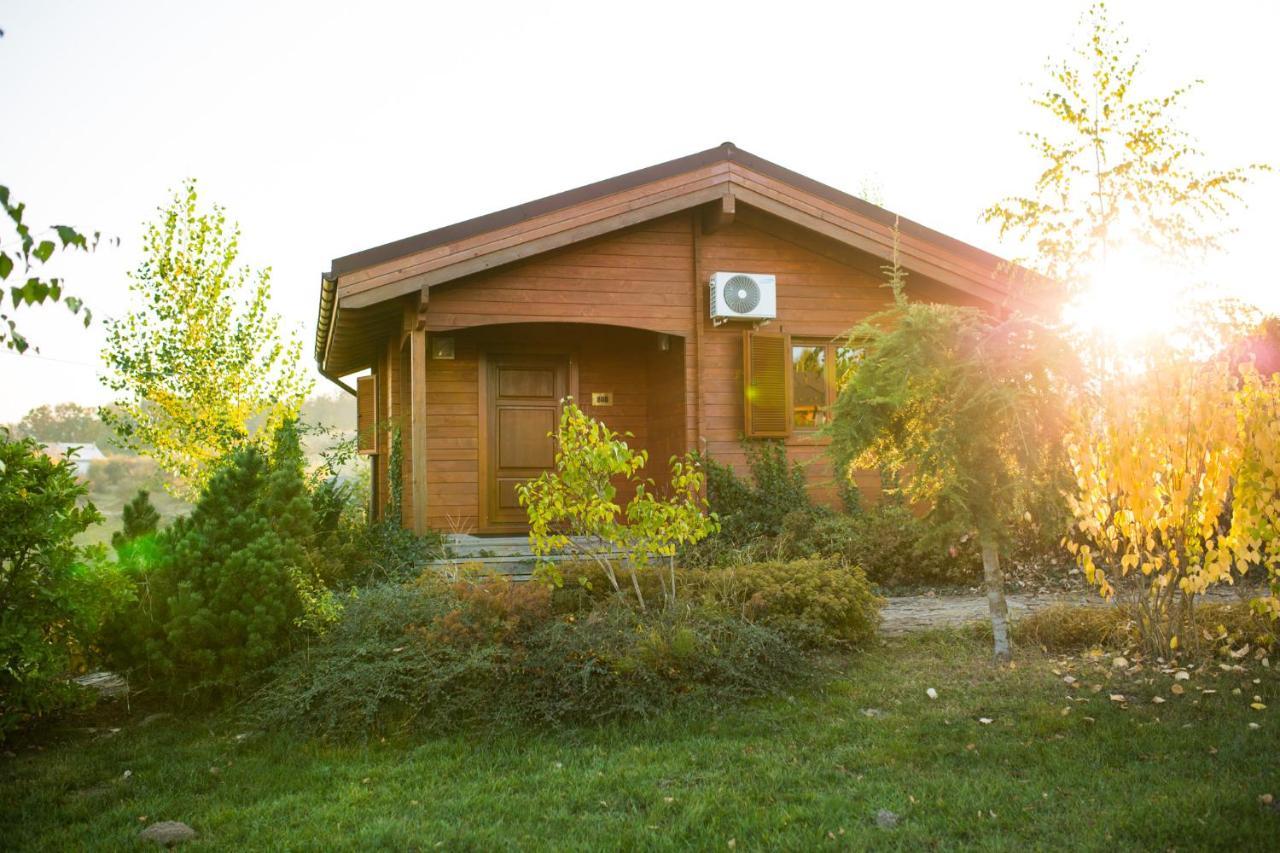 Sat De Vacanta Ciprian Porumbescu * Suceava
